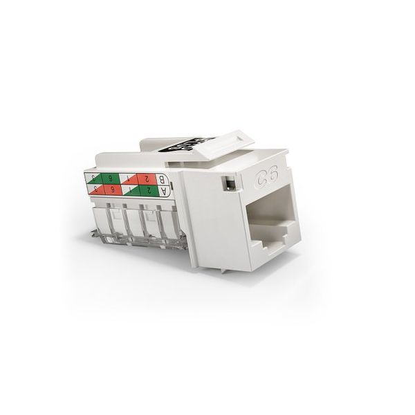 CONECTOR FEMEA CAT6 RJ45 T568A/B 35050424